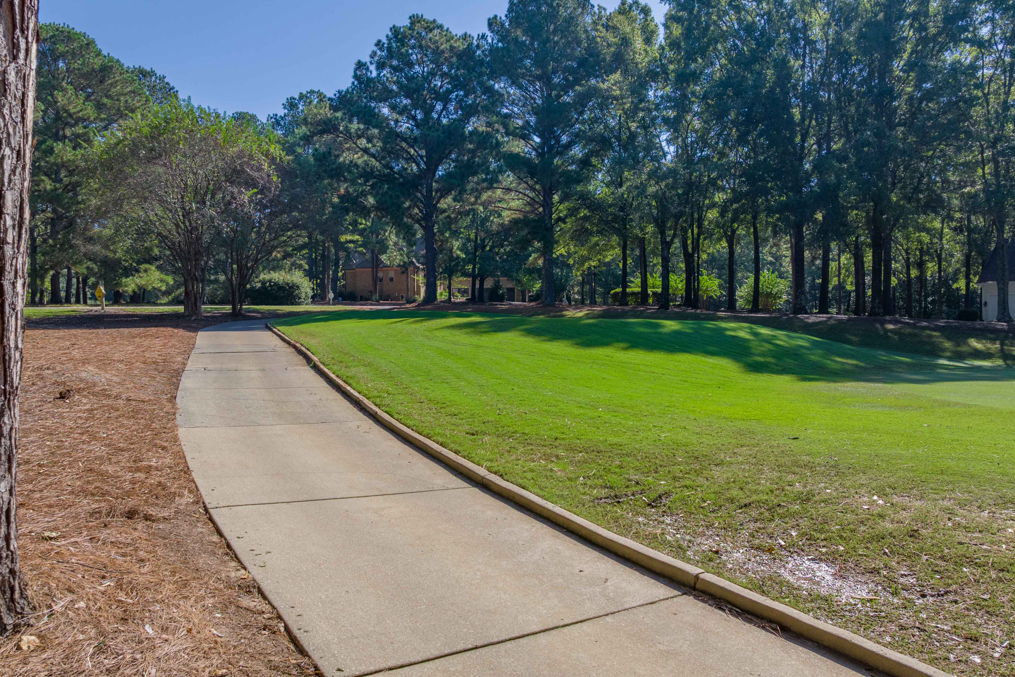236 Broadlands Drive image 11